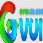 Gvui us com