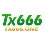 TX666 ONE