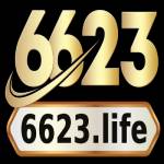 6623 life