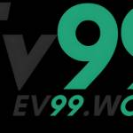 Ev99 work