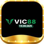 vic88 skin