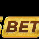 V6betinfo