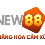 new88 zio