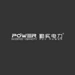 pdvpower com