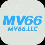 MV66 LLC