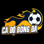 trang cá độ bóng đá