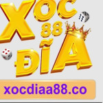Xocdia 88