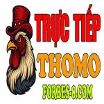 ĐÁ GÀ TRỰC TIẾP THOMO HÔM NAY