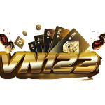 VN 123
