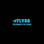 Fly88a cn com