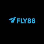 Fly88 tours