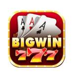 Bigwin777 Shop