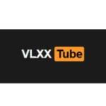 vlxxtube net