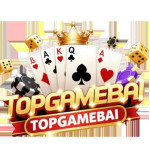 vn topgamebai