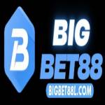 Bigbet88l com