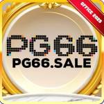 pg66 sale