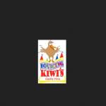 Bouncing Kiwis Castle Hire