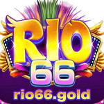 Rio66 gold
