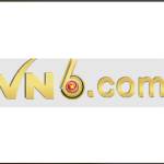 VN 6