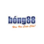 Bong88 lipaugmentation