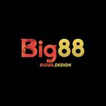 big88 design