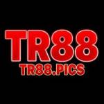TR88 PICS