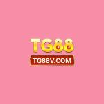 Tg88v com