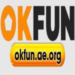 OKFUN aeorg
