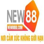 New88bg com