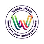 WebProMaze Private Limited
