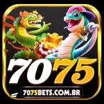 7075bets com br