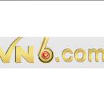 VN 6