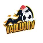 Vaoluoitv