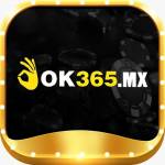 Ok365 mx