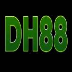 DH88 video