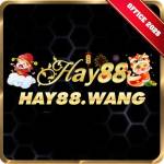 hay88 wang