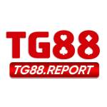 TG 88