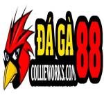 DAGA88 ĐÁ GÀ 88