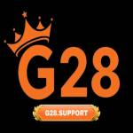 G28 support
