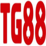 Nhà Cái TG88