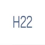 H22 biz