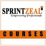 Sprintzeal Global Leader