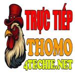 ĐÁ GÀ TRỰC TIẾP