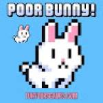 Poor Bunny game